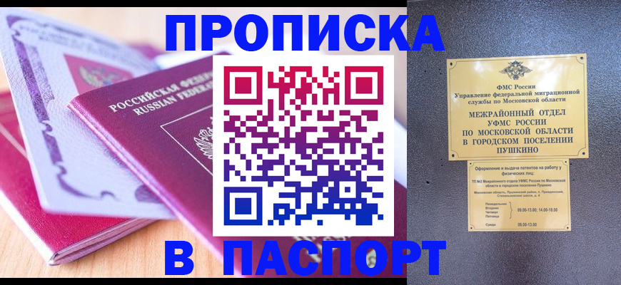 прописка законно в Невеле